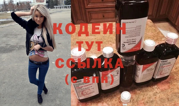 прущий лед Новозыбков