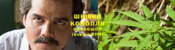 шишки Нефтекумск