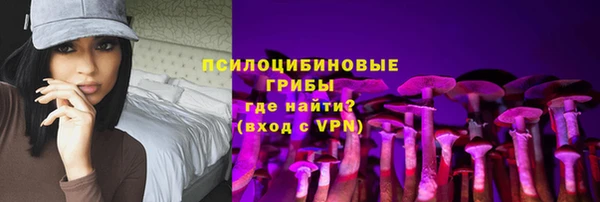 стаф Нея