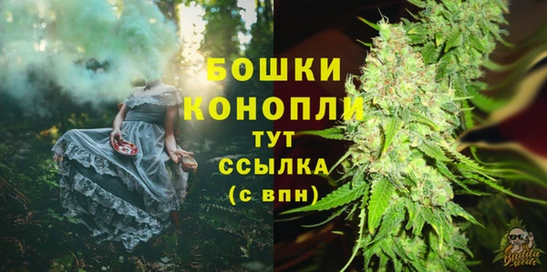 прущий лед Новозыбков