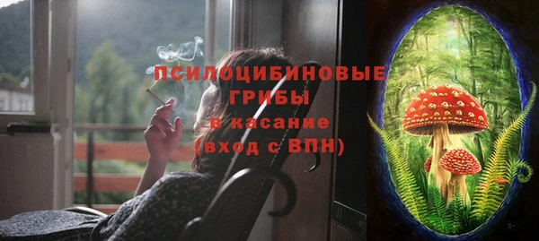 прущий лед Новозыбков