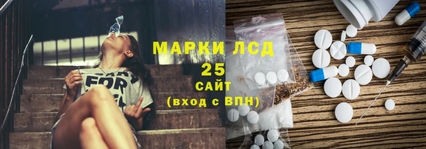 прущий лед Новозыбков