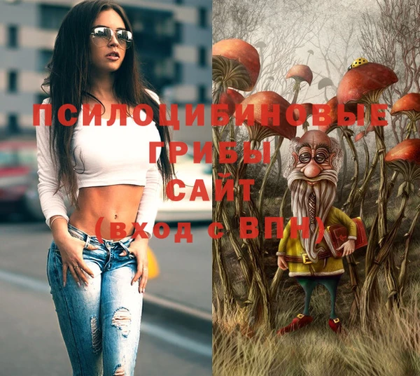 прущий лед Новозыбков