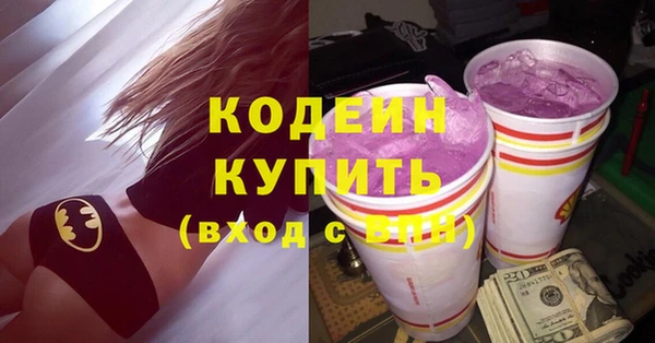 прущий лед Новозыбков